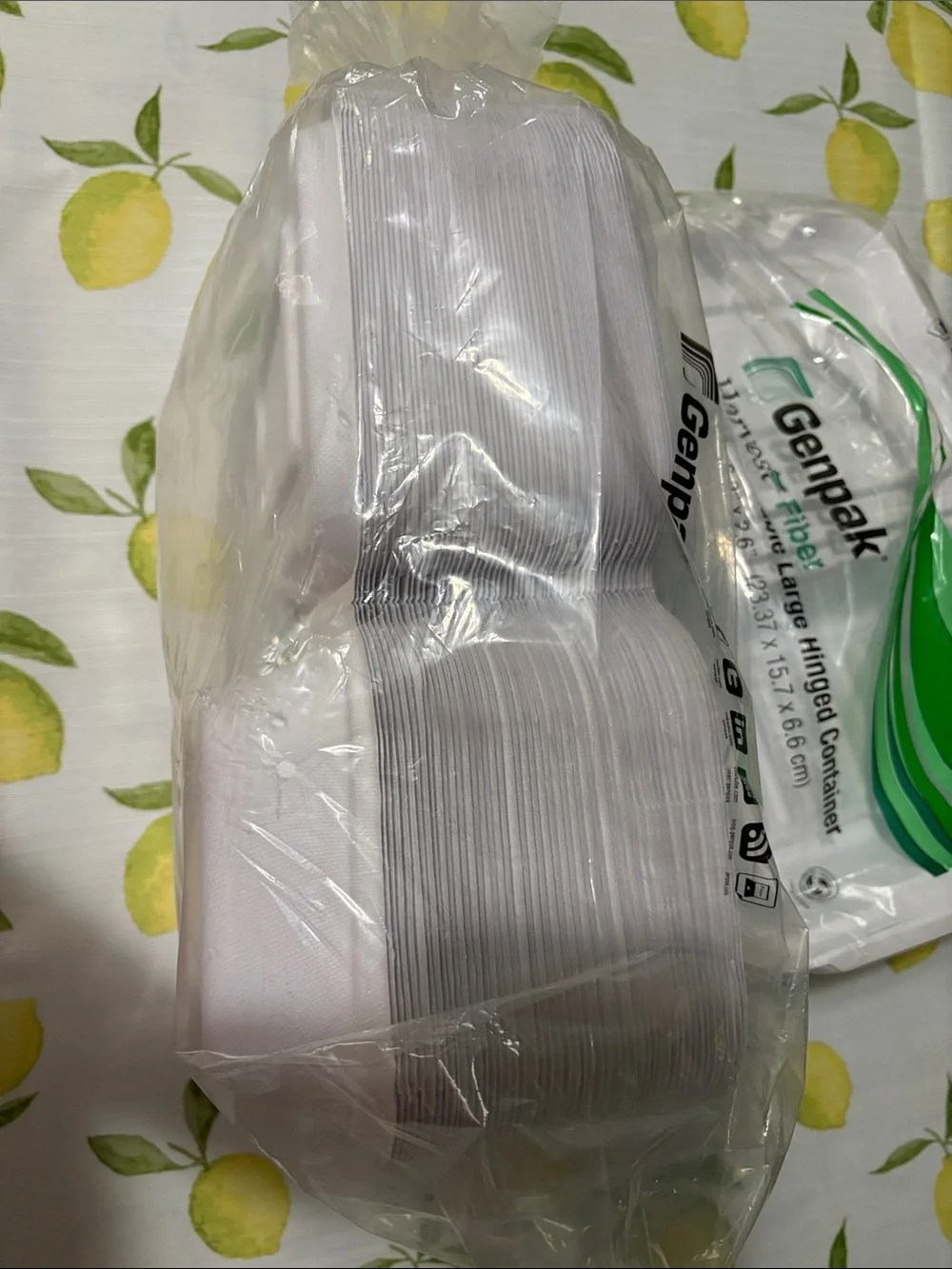 Harvest Fiber Compostable Large Hinged Container - White